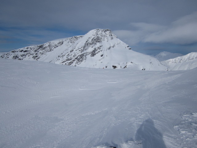 Nordmannvikinden