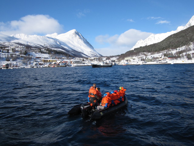 Lyngsfjord