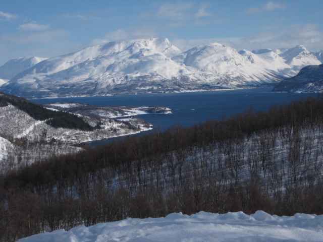 Lyngsfjord