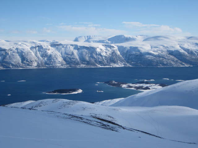 Lyngsfjord