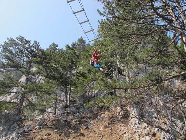 Christian auf der Seilbrücke