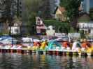 Alte Donau