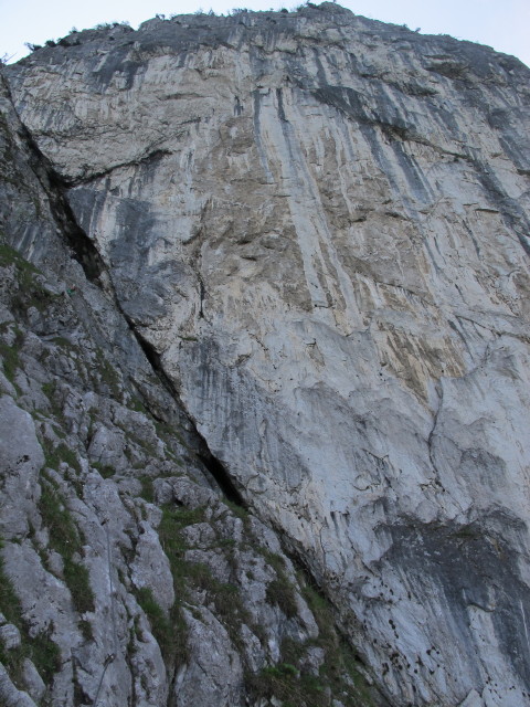Weiße Wand