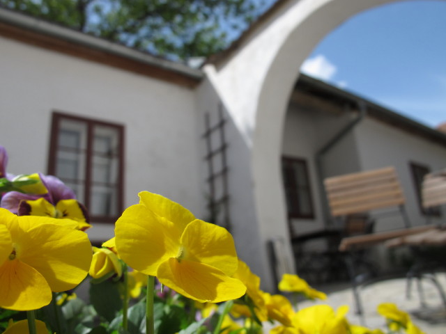 Innenhof 10er Haus