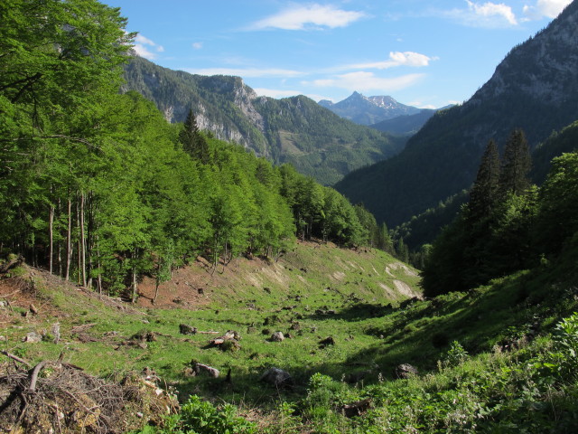 zwischen Hasenwilzinghütte und Weg 828 (18. Mai)