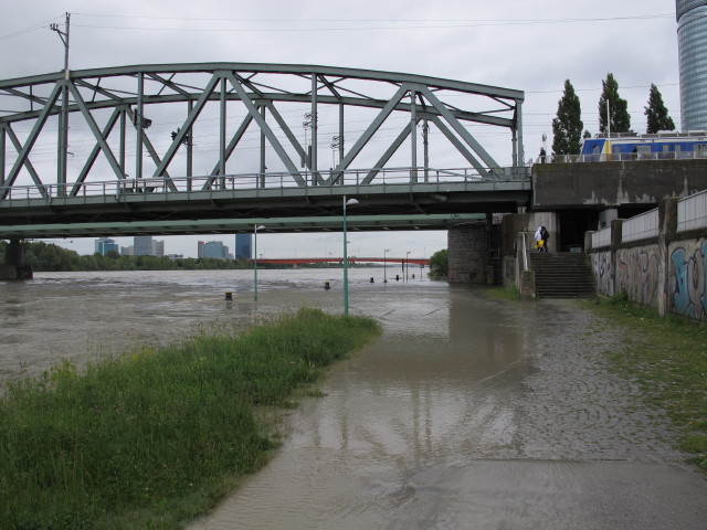 Treppelweg bei der Nordbahnbrücke (4. Juni)