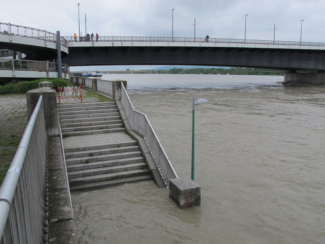 Floridsdorfer Brücke (5. Juni)
