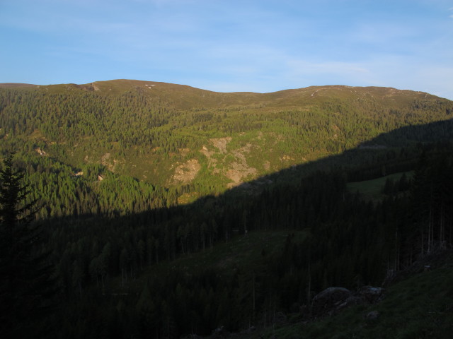Millstätter Alpe (9. Juni)
