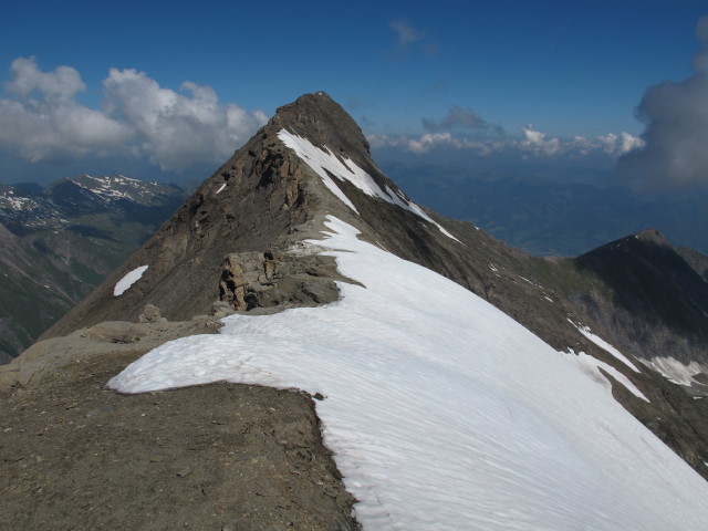Bauernbrachkopf vom Hirzbachtörl aus (22. Juli)