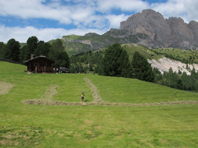 neben Weg 4 zwischen Regensburger Hütte und Col Raiser (11. Aug.)