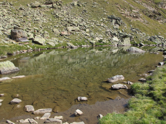 neben Weg 2 zwischen Weg 1A und Weißkugelhütte (15. Aug.)