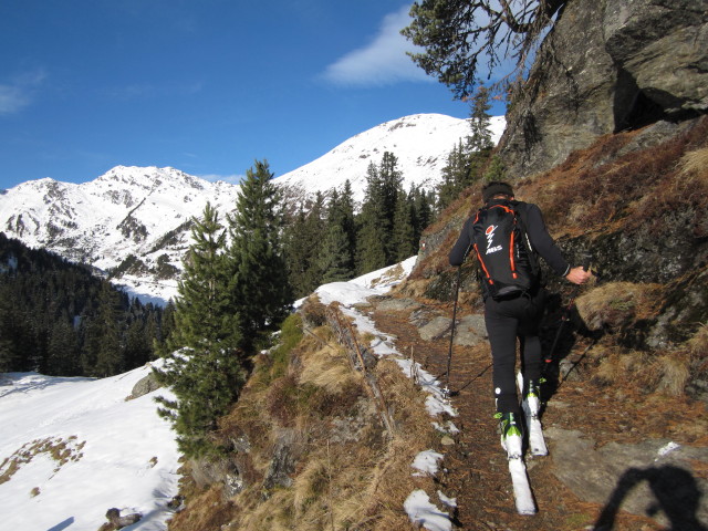 Axel zwischen Salzachjochhütte und Salzachalm