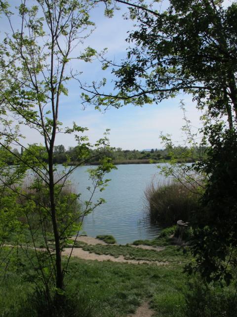Wienerberg-Teich