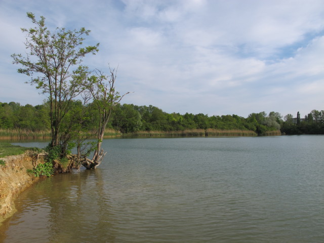 Wienerberg-Teich