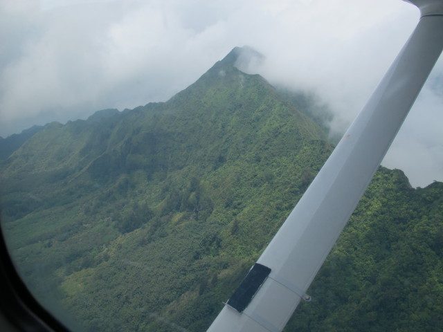 Pali Pass (24. Mai)