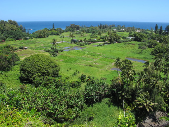 Keanae (20. Mai)