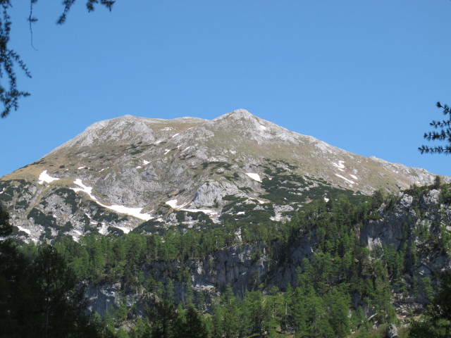 Elm (9. Juni)