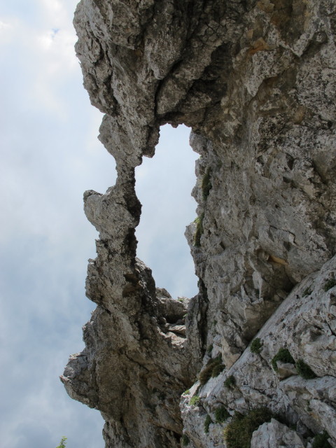 Staiger-Fenster