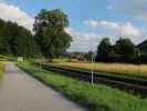 zwischen Petersbaumgarten und Warth (22. Juni)