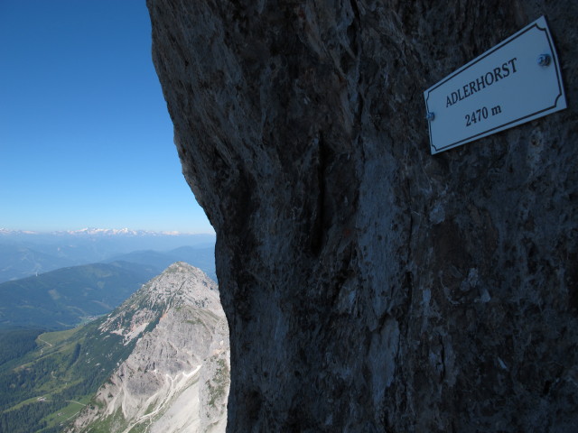 Johann-Klettersteig: vom Adlerhorst Richtung Südwesten (19. Juli)