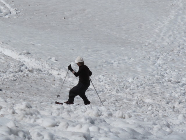 Großer Gosaugletscher (19. Juli)