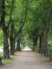 Schillerpark