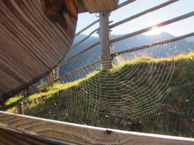 Schäfalm, 1.896 m (27. Sep.)