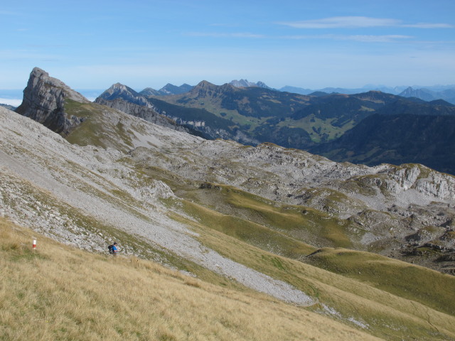 zwischen Hengst und Türstehäuptli