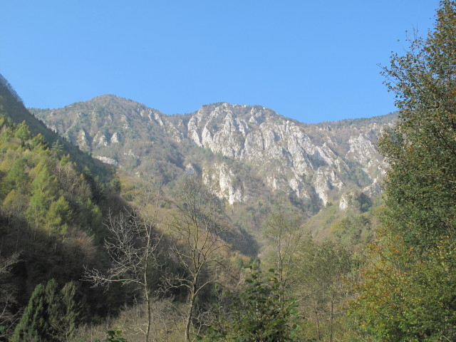 Napon