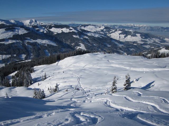 Lodronalm