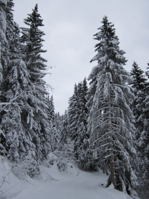 Südabfahrt