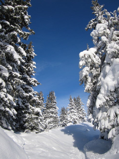 Schrambachkopf