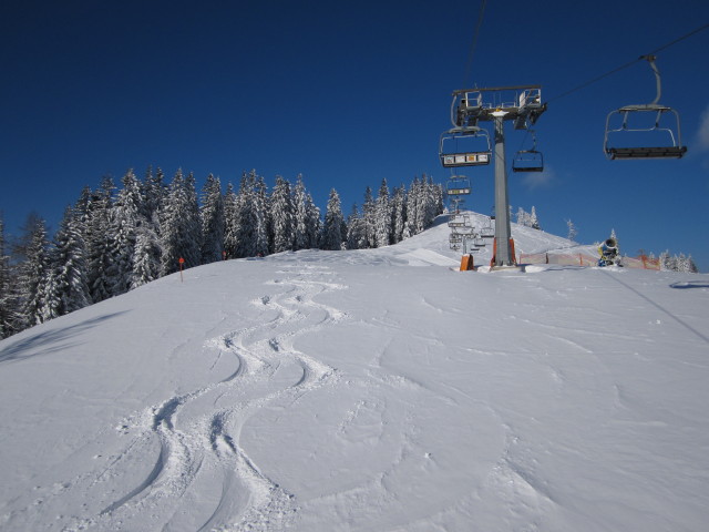 Niederalplbahn