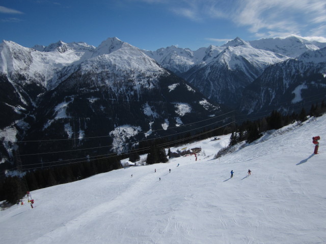 Ahornabfahrt