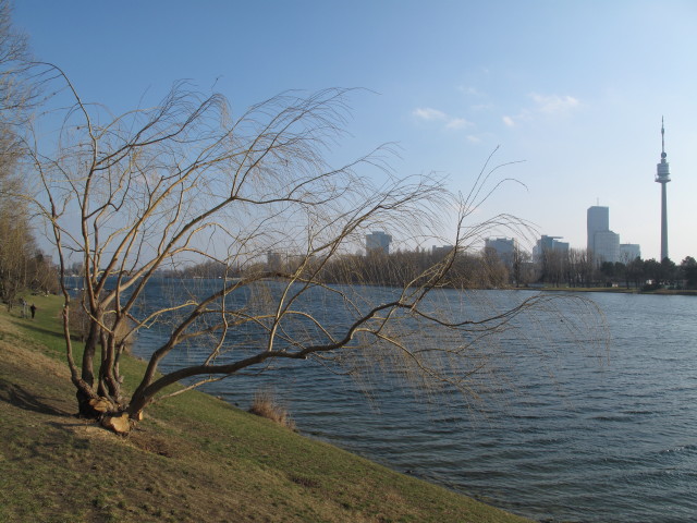 Obere Alte Donau