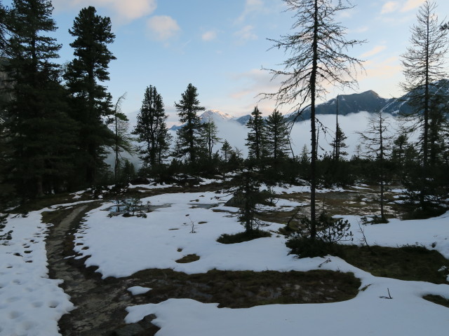 Reedsteig zwischen Reedgraben und Reedsee (31. Mai)