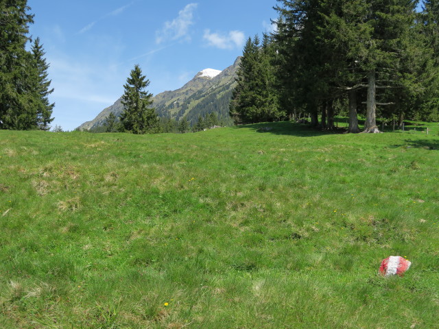 Eggeralm (31. Mai)