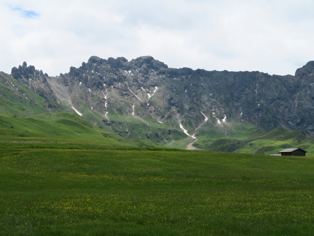 Rosszähne vom Ladinser Moos aus (21. Juni)