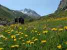 Bieltal (12. Juli)