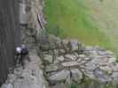 Barbara am TIWAG-Klettersteig (13. Juli)
