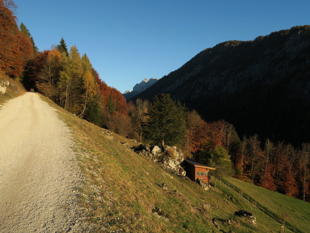 Weg 801 im Kaisertal zwischen Pfandlhof und Veitenhof (1. Nov.)