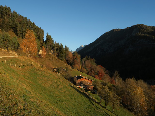 Zottenhof (1. Nov.)