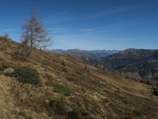 neben Weg 8 zwischen Burgstallberg und Oberer Krasserhütte