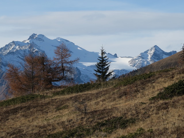 Hochalmspitze von Weg 558 aus