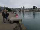 Papa, Mama und Markus auf der Wellington Waterfront (21. Nov.)