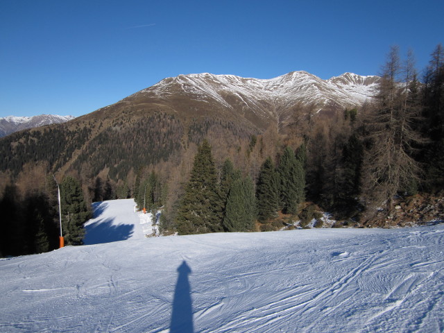 Waldabfahrt
