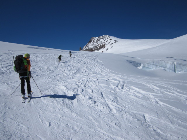Rudolf am Stockjigletscher (20. März)