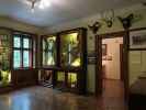 Museum