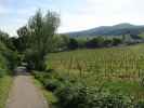 Freigut Thallern