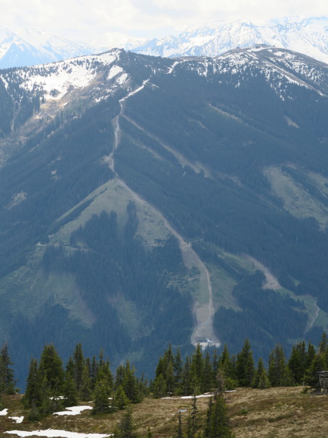 Salersbachköpfl (26. Mai)